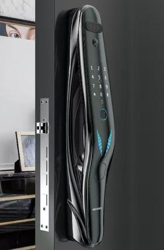 Serrure Vidéo-Interphone Intelligent Tuya + Serrure de Porte Connectée
